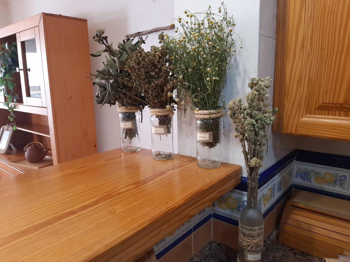 Coast 150 Puerto Apartment Puerto de la Cruz  Ngoại thất bức ảnh